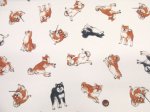 画像3: 柴犬の日常　柴犬・わんこ・犬柄　オックス生地 ラミネート つや消し コスモテキスタイル (3)