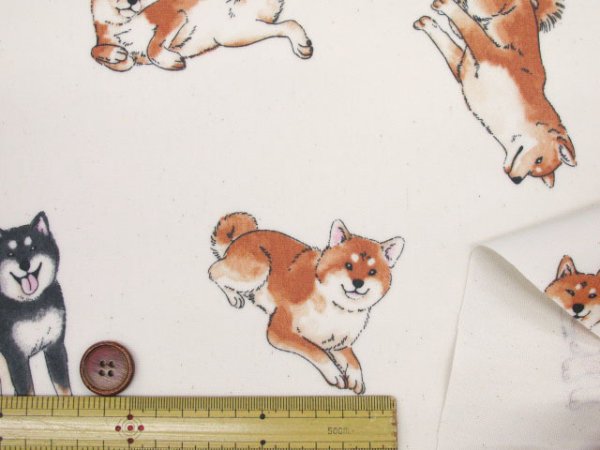 柴犬の日常 柴犬・わんこ・犬柄 オックス生地 ラミネート つや消し
