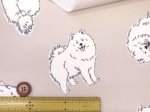 画像7: 可愛い サモエド　わんこ・犬柄　オックス生地 ラミネート つや消し コスモテキスタイル (7)