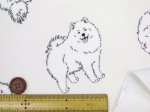 画像4: 可愛い サモエド　わんこ・犬柄　オックス生地 ラミネート つや消し コスモテキスタイル (4)