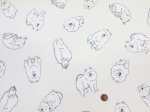 画像3: 可愛い サモエド　わんこ・犬柄　オックス生地 ラミネート つや消し コスモテキスタイル (3)