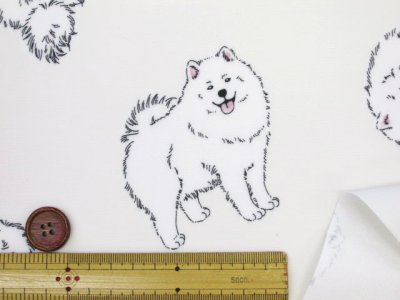 画像1: 可愛い サモエド わんこ・犬柄 オックス生地 ラミネート つや消し コスモテキスタイル