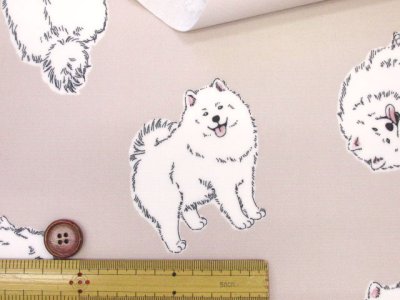 画像2: 可愛い サモエド わんこ・犬柄 オックス生地 ラミネート つや消し コスモテキスタイル