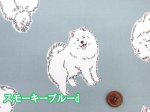 画像8: 可愛い サモエド　わんこ・犬柄　オックス生地 ラミネート つや消し コスモテキスタイル (8)