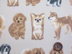 画像2: 並んだワンコ　いぬ・犬柄　オックス生地　(ライトベージュ) 　ラミネート　はぎれ２０ｃｍ↑ (2)