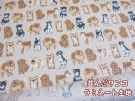 画像1: 並んだワンコ　いぬ・犬柄　オックス生地　(ライトベージュ) 　ラミネート　はぎれ２０ｃｍ↑ (1)