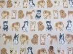 画像3: 並んだワンコ　いぬ・犬柄　オックス生地　(ライトベージュ) 　ラミネート　はぎれ２０ｃｍ↑ (3)