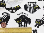 画像4: やんのかねこ　ネコ・猫柄　オックス生地　コスモテキスタイル (4)