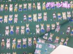 画像14: YUWA 有輪商店 sobakasu-kids. オシャレキャット　ネコ・猫柄　シャーティング生地　ラミネート つや消し (14)