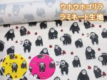 画像1: ウホウホゴリラ　ゴリラ・動物柄　オックス生地 ラミネート つや消し コスモテキスタイル (1)