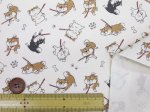 画像4: わがまま柴犬　柴犬・犬柄　オックス生地 (生成り地)コスモテキスタイル (4)