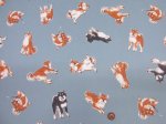 画像9: 柴犬の日常　柴犬・わんこ・犬柄　オックス生地 ラミネート つや消し コスモテキスタイル (9)