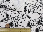 画像4: スヌーピーの人気柄が帰ってきました!! スヌーピー モノクロ PEANUTS オックス生地 (4)