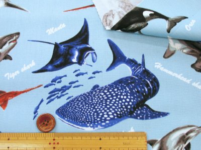 画像2: 海の生き物 図鑑柄 サメ クジラ シャチ ウミガメ オックス生地