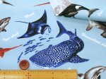 画像7: 海の生き物 図鑑柄 サメ クジラ シャチ ウミガメ オックス生地 (7)