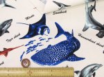 画像4: 海の生き物 図鑑柄 サメ クジラ シャチ ウミガメ オックス生地 (4)