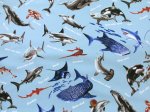 画像6: 海の生き物 図鑑柄 サメ クジラ シャチ ウミガメ オックス生地 (6)
