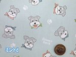 画像5: 可愛いシュナウザー シュナウザー ペット 犬柄 オックス生地 コスモテキスタイル (5)