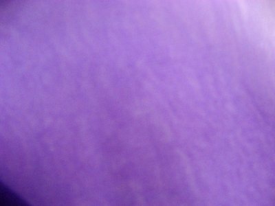 画像1: ☆スパークハーフ紫（１４）はぎれ80cm