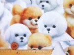 画像3: (3)もふもふわんこ・子犬柄　インクジェットプリント　シーチング生地　はぎれ１ｍ (3)