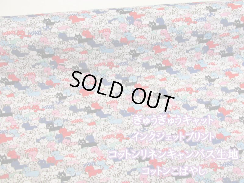 画像1: ぎゅうぎゅうキャット　ネコ・猫柄 インクジェットプリント 綿麻キャンバス生地  コットンこばやし (1)