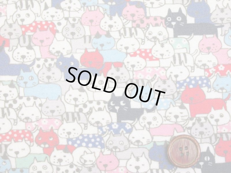 画像2: ぎゅうぎゅうキャット　ネコ・猫柄 インクジェットプリント 綿麻キャンバス   ラミネート　つや消し　コットンこばやし (2)