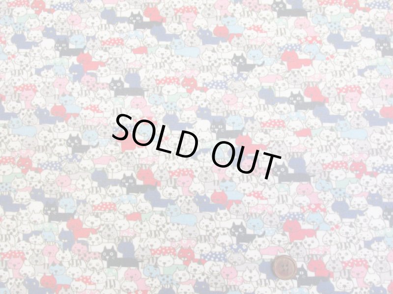 画像3: ぎゅうぎゅうキャット　ネコ・猫柄 インクジェットプリント 綿麻キャンバス   ラミネート　つや消し　コットンこばやし (3)