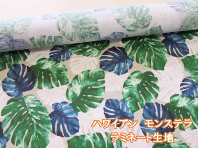 画像1: ハワイアン　モンステラ　フラワー・花柄　オックス生地　ラミネート　つや消し