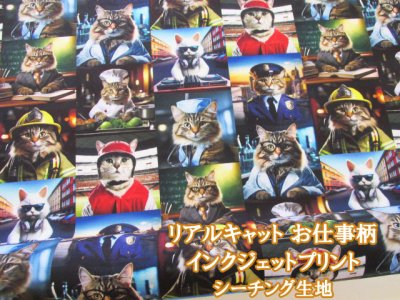 画像1: noraシリーズ　リアルキャット　猫・お仕事柄　インクジェットプリント　シーチング生地