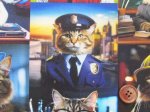 画像2: noraシリーズ　リアルキャット　猫・お仕事柄　インクジェットプリント　シーチング生地 (2)