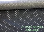 画像1: ハーフリネン　5mmドット　ドット・水玉柄　キャンバス生地 (ブラック)　ラミネート　つや消し (1)