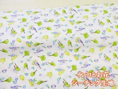 画像1: インコとお花　インコ・花柄　シーチング生地　(オフホワイト) コスモテキスタイル