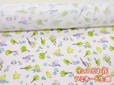 画像1: インコとお花　インコ・花柄　シーチング生地　(オフホワイト)  ラミネート つや消し コスモテキスタイル