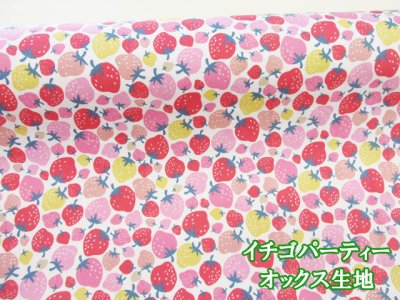 画像1: イチゴパーティー イチゴ・いちご柄 オックス生地