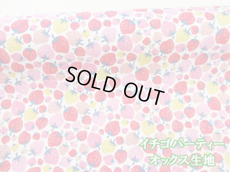 画像1: イチゴパーティー　イチゴ・いちご柄　オックス生地 (1)