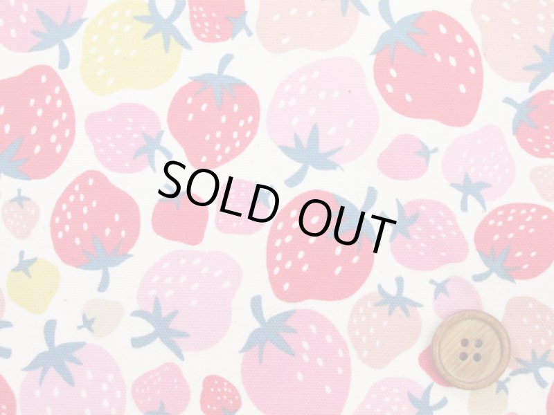 画像2: イチゴパーティー　イチゴ・いちご柄　オックス生地 (2)