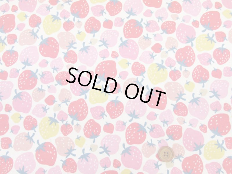 画像3: イチゴパーティー　イチゴ・いちご柄　オックス生地 (3)