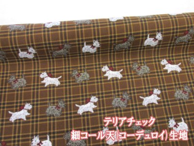 画像1: 現品限り!! テリアチェック ヨークシャテリア ドッグ 犬柄 コール天 コーデュロイ生地