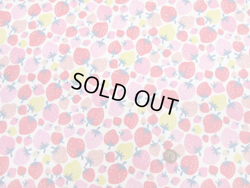 画像3: イチゴパーティー　イチゴ・いちご柄　オックス生地　ラミネート　つや消し (3)