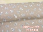 画像1: 可愛いシュナウザー ワンコ・犬柄 オックス生地 (ベージュ) コスモテキスタイル (1)
