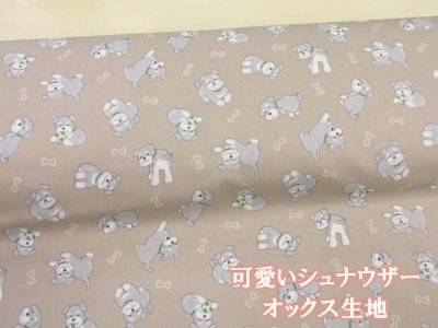 画像1: 可愛いシュナウザー ワンコ・犬柄 オックス生地 (ベージュ) コスモテキスタイル