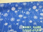 画像1: 撥水加工　たんぽぽ　フラワー・花柄　ナイロンオックス生地 (1)