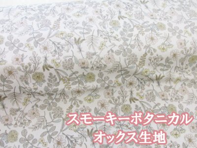 画像1: スモーキーボタニカル　フラワー・花柄 オックス生地 (生成り)