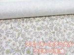画像1: スモーキーボタニカル　フラワー・花柄 オックス生地 (生成り)　ラミネート　つや消し (1)