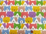 画像3: キャットフェイス　ネコ・ねこ・猫柄　オックス生地 (カラフル)　ラミネート　つや消し (3)