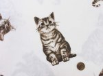 画像2: ビッグデザイン　ネコ・子猫柄　(オフホワイト)　コットンリネンキャンバス (2)