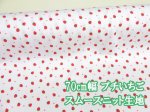 画像1: プチいちご　イチゴ柄　スムースニット生地 (1)
