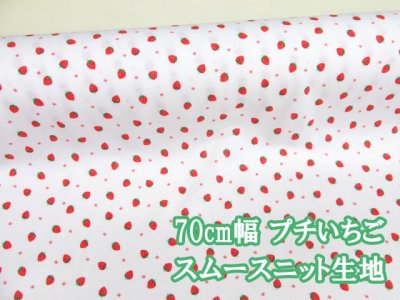 画像1: プチいちご イチゴ柄 スムースニット生地