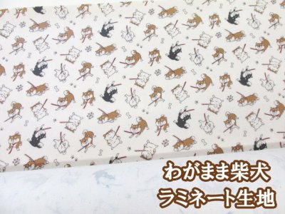 画像1: わがまま柴犬 柴犬・犬柄 オックス生地 (生成り地) ラミネート つや消し