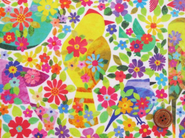 【✴︎】斑入りマドカズラ　板付　インテリアグリーン　希少　チーズプラント　チーズ ✴︎】斑入りマドカズラ 板付 インテリアグリーン 希少 チーズ